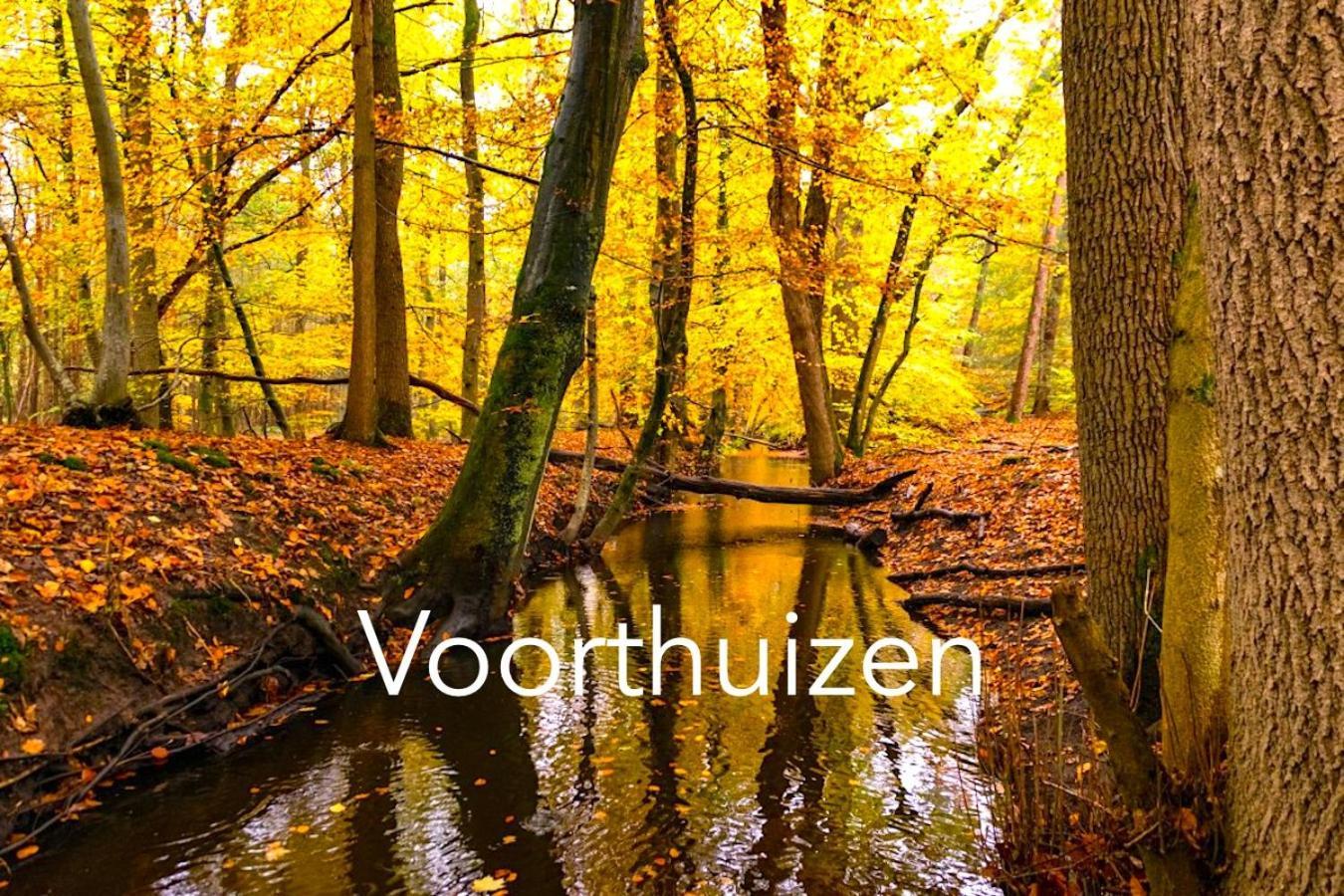 Omheind Natuurhuisje, Prive En Licht, Voorthuizen Veluwe, Naast Het Bos, Zeer Rustig Esterno foto
